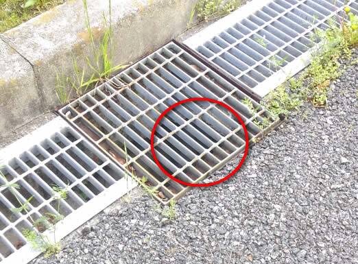 ミツバチの巣駆除排水溝